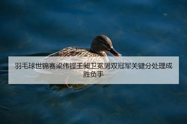 yu-mao-qiu-shi-jin-sai-liang-wei-keng-wang-chang-wei-mian-nan-shuang-guan-jun-guan-jian-fen-chu-li-cheng-sheng-fu-shou-2-638.jpg