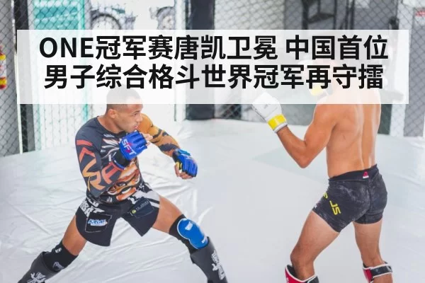 MMA fighter training